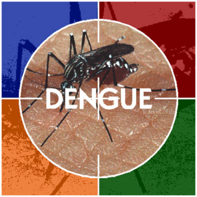 80 a 90% dos focos de dengue esto nas residncias