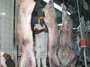 Abate de bovinos em MS cai 5,57% em 2014, aponta IBGE