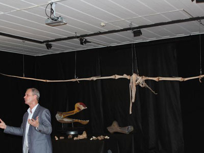 Museu Nacional apresenta fssil do maior rptil voador j encontrado no Brasil  