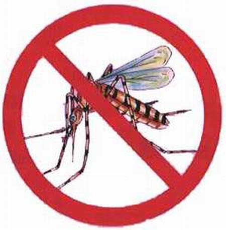 Combate  dengue no estado ganha reforo na internet