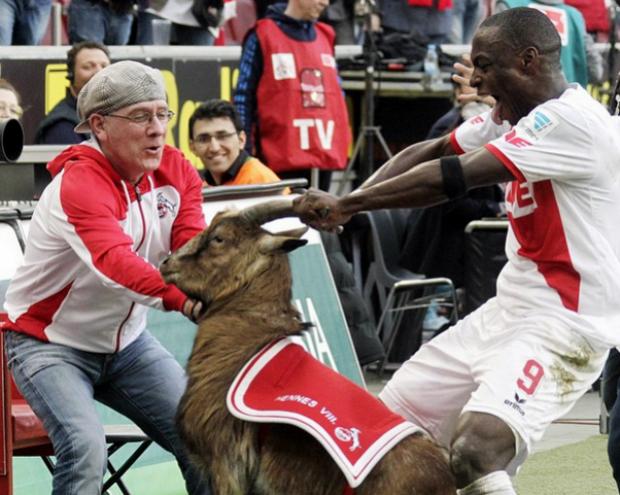 Atacante se desculpa por maltratar cabra ao celebrar gol