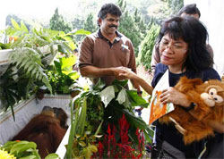 Cingapura faz funeral para orangotango que era celebridade 