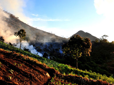 Brigadistas controlam incndio em parque florestal no RJ