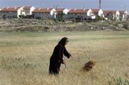 Israel aprova construo em assentamento judaico na Cisjord
