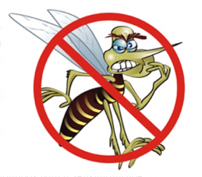 Cuiab tem piores ndices e risco de surto de dengue