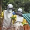 Vacina contra ebola d imunidade a macacos e traz esperana