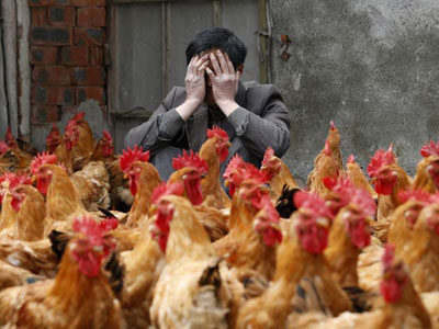 Nem todas as vtimas do vrus H7N9 tiveram contato com aves, diz OMS  