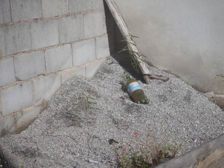 Foco de dengue, bairro pede limpeza em Maratazes