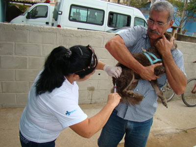 Vacinao de ces e gatos continua em Maratazes